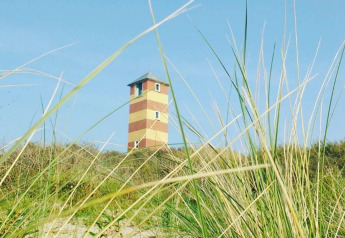 Beach house in Dishoek, Zeeland, Netherlands, seen through grass with a clear blue sky above.