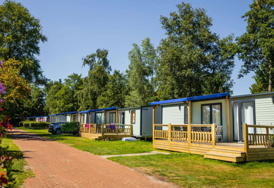 Moderne Lodge XL hytter på Vakantiepark Bergumermeer i Holland omgivet af grønne træer og blomster.