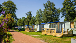 Lodges XL de Vakantiepark Bergumermeer aux Pays-Bas, entourés d’arbres et de fleurs colorées en été.