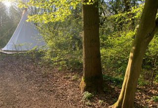 Tipi tent bij Buytenplaets Suydersee in Nederland, tussen groene bomen en ochtendzon in het bos.