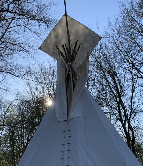 Tienda tipi en Buytenplaets Suydersee, Países Bajos, con luz solar entre los árboles.