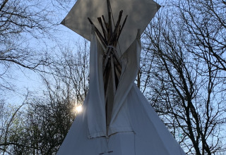 Tienda tipi en Buytenplaets Suydersee, Países Bajos, con luz solar entre los árboles.