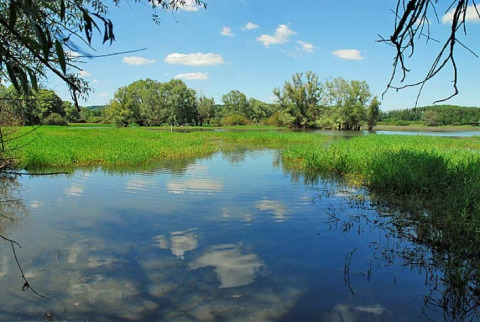 Landschaft am Camping du Lac in Grand Est, Frankreich, mit See, Grünflächen und blauem Himmel.