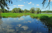 Naturudsigt ved Camping du Lac i Grand Est, Frankrig, med sø, grønne områder og blå himmel.