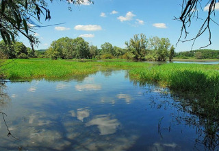 Panorama al Camping du Lac nel Grand Est, Francia, con lago, vegetazione e cielo nuvoloso.