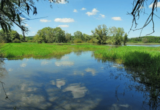 Paisaje en Camping du Lac, Grand Est, Francia, con lago, vegetación y cielo azul con nubes.