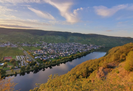 Veduta sul fiume e la città di Kröv, circondata da colline e vigneti in Renania-Palatinato, Germania, al tramonto.