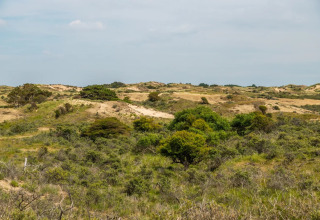 Zicht op duinen en groen struikgewas bij een vakantiepark met glamping accommodaties in het landschap.