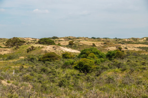 View of sandy dunes and lush green shrubs at a holiday park offering glamping accommodations outdoors.