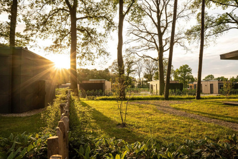 Atardecer entre árboles y cabañas modernas en Holiday villa Amalia 6 en Hofparken Wiltershaar, Países Bajos.