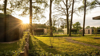 Atardecer entre árboles y cabañas modernas en Holiday villa Amalia 6 en Hofparken Wiltershaar, Países Bajos.