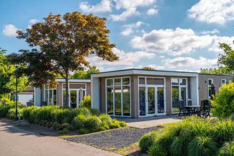 Modernes Glamping-Chalet im Ferienpark mit großen Fenstern, Terrasse und viel grüner Bepflanzung.