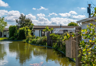 Foto di un villaggio vacanze con alloggi glamping vicino a uno stagno e circondato da vegetazione estiva.