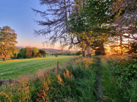 Sunset view across grassy meadows and trees at Camping & Ferienpark Brilon in North Rhine-Westphalia, Germany.
