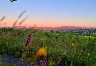 Solnedgang over Brilons grønne omgivelser i Tyskland, med vilde blomster og bakket landskab i forgrunden.