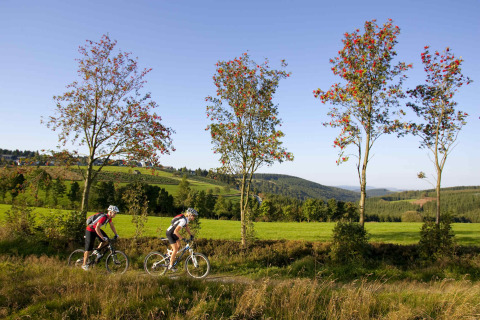Two cyclists ride a trail through green fields and trees near Brilon in North Rhine-Westphalia, Germany.