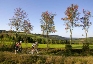 Two cyclists ride a trail through green fields and trees near Brilon in North Rhine-Westphalia, Germany.