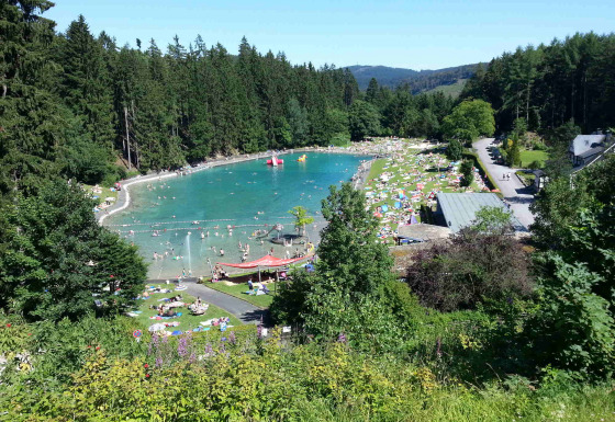 Udsigt over badesø og solbadende gæster i Camping & Ferienpark Brilon, omgivet af skov i Tyskland.