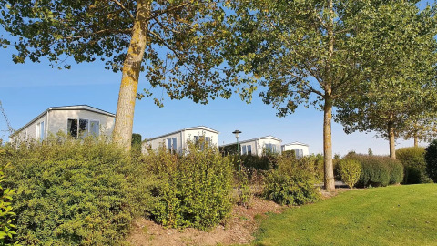 Ferienhäuser zwischen grünen Bäumen im Camping & Ferienpark Brilon, Nordrhein-Westfalen, Deutschland.