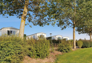 Ferienhäuser zwischen grünen Bäumen im Camping & Ferienpark Brilon, Nordrhein-Westfalen, Deutschland.