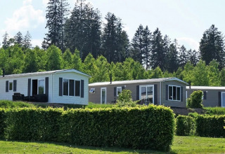 Holiday cottages with hedges and forest backdrop at Camping & Ferienpark Brilon in North Rhine-Westphalia, Germany.