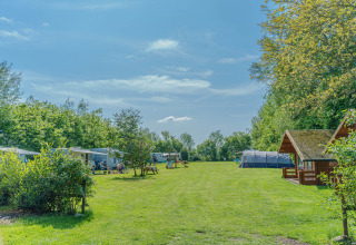 Groene camping met bomen, tenten, caravans en houten hutten op Mini Camping Drentse Monden in Drenthe, Nederland.