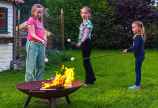 Niños asan malvaviscos sobre una fogata en Mini Camping Drentse Monden, un parque vacacional en Drenthe, Países Bajos.