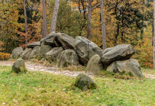 Prehistorische hunebed tussen de bomen bij Mini Camping Drentse Monden, Drenthe, Nederland in de herfst.