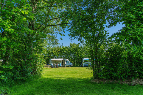 Grüner Campingplatz mit Wohnmobilen und Menschen, umgeben von Bäumen im Mini Camping Drentse Monden, Drenthe.