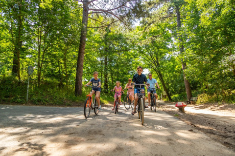 Familia montando bicicletas por un sendero boscoso en un parque vacacional con alojamientos glamping.