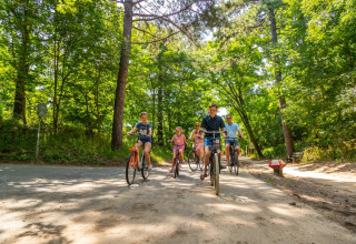 Familie cykler gennem en grøn skov på en feriepark med glamping, solrigt vejr og afslappet stemning.