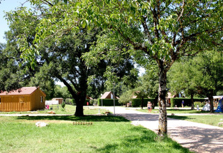 Camping le Roc in Occitanie, France: holiday park with lush trees, wooden cabins, and guests walking the path.