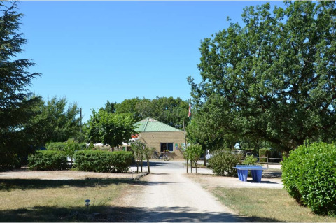 Sendero de entrada al camping le Roc en Occitania, Francia, rodeado de árboles y arbustos verdes.