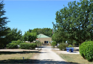 Sentiero d'ingresso al Camping le Roc in Occitania, Francia, circondato da alberi e cespugli verdi.