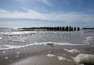 Strandansicht bei Dishoek in Zeeland, Niederlande mit Wellen, Schaum und Holzpfählen im Wasser.