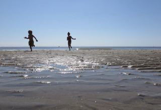 Dos niños corren y juegan en una playa arenosa con marea baja bajo un cielo azul claro en Zeeland, Países Bajos.