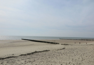 En rolig strand med sand, hav og træpæle ved Dishoek, Zeeland, Holland, set fra Welcome.in feriepark.