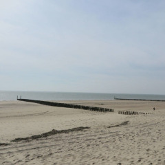 Playa tranquila de arena con mar y postes de madera en Dishoek, Zeeland, Países Bajos, cerca del parque vacacional.