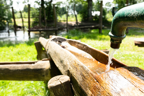 Agua sale de un grifo verde hacia un canal de madera en Beloofde Land, parque vacacional en Gelderland, Países Bajos.