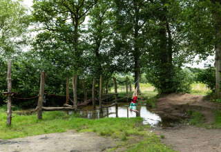 Barn svinger over en lille sø på legeplads i Beloofde Land feriepark, omringet af træer i Gelderland.