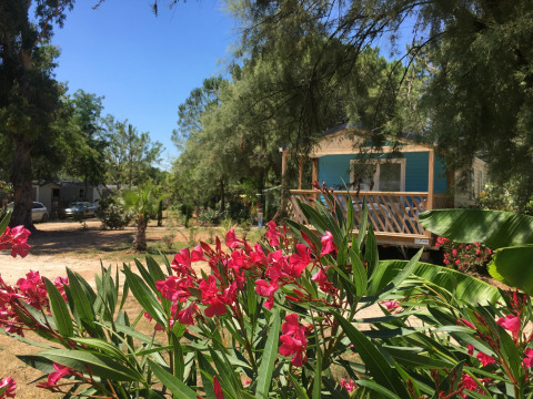 Camping le Mas de Mourgues en Occitania, Francia, con flores coloridas y casa móvil bajo el sol brillante.