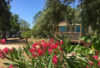 Camping le Mas de Mourgues in Occitanie, Frankreich, mit blühenden Blumen und Mobilheim in sonniger Umgebung.