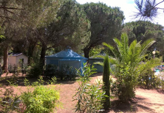 Camping le Mas de Mourgues en Occitania, Francia, rodeado de árboles, vegetación y una piscina soleada.