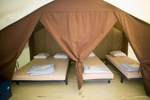 Interior de una tienda safari con cuatro camas individuales, sábanas y almohadas listas para los campistas.