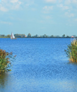 Paisaje sereno en las cercanías de Molkwerum, Frisia, Países Bajos, con juncos y un velero sobre el agua azul.