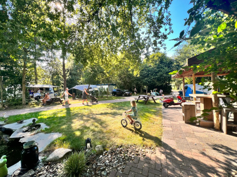 Urlauber genießen einen sonnigen Tag im grünen Ferienpark Camping de Beerte in Groningen, Niederlande.