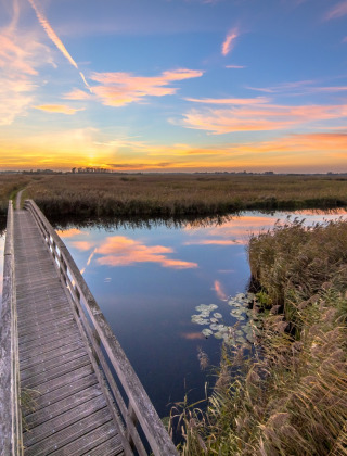 Pasarela de madera sobre aguas tranquilas al atardecer cerca de Beerta, Groningen, Países Bajos, cielo colorido.