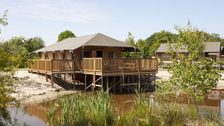 Tienda safari Safaricottage XL en Holiday Park Sallandshoeve, Países Bajos, sobre pilotes junto a un estanque.