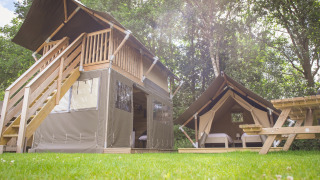 Tiendas safari con terraza y baño privado en Holiday Park Sallandshoeve, Países Bajos, rodeadas de árboles.