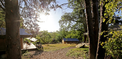 Zonnig zicht op houten huisjes en fietsen in het groen van Camping d'Angers - Lac de Maine, Frankrijk.